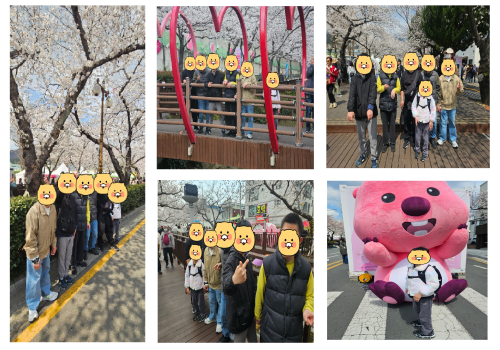 지원 2팀 봄 맞이 계절여행 벚꽃보고 왔어요~
