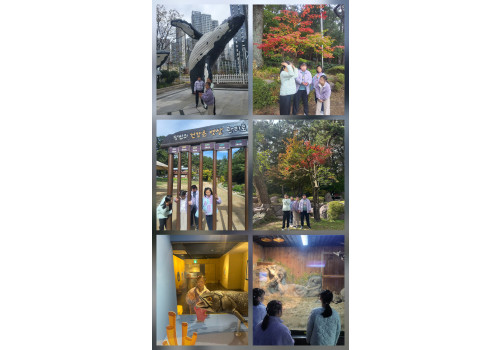 가을 빛 단풍속으로, 바다의 생명을 만나다.~